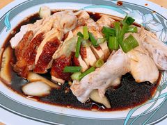 -伍秀泽海南鸡饭茶室