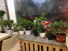 -正宗新疆天山烧烤(贵新街店)