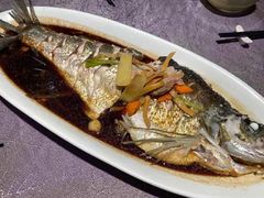 家炖大白刀鱼-宣和苑(华侨新村店)