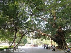 -广州中山纪念堂