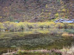 -黄龙山原始森林景区