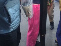 -清真老马家国华牛奶鸡蛋醪糟(正宁路店)