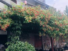 -大自然(鲁家村店)