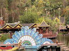 -西双版纳原始森林公园