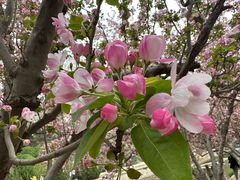 -元大都城垣遗址公园