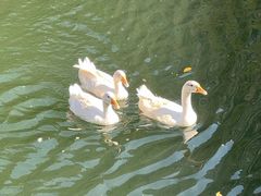 -天台山琼台仙谷景区