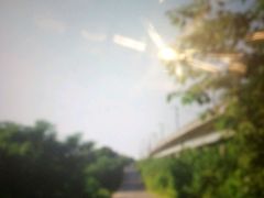 -东湖落雁景区