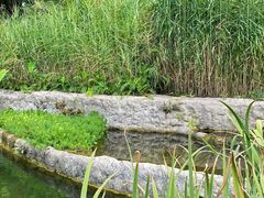 -成都市活水公园