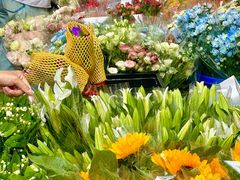 -循礼门鲜花花市(武汉循礼门店)