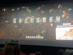 -SFC上影百联影城(大上海4DX店)