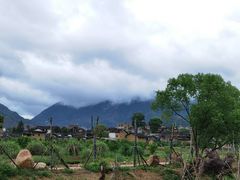 -福建土楼（华安）旅游区•大地土楼群