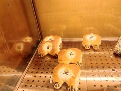 -上海理工大学第五食堂