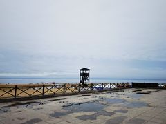 -日照海滨国家森林公园