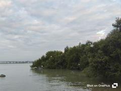 -宝安西湾红树林湿地公园