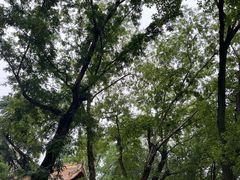 -狼山风景名胜区