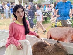 -盈香心动乐园