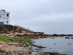 -养马岛旅游度假区