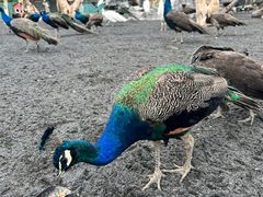 -水上乐园·欢乐世界