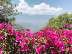 -南诏风情岛