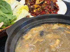 -草墩罗非鱼庄•野生菌•腊排骨(七星街上段店)