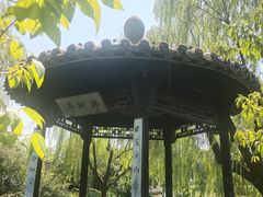 -盆景园(扬州大运河文化旅游度假区)
