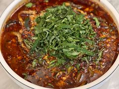 临江鳝丝-陈麻婆豆腐总店