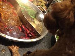 -蜀记火锅(南街店)