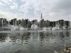 -金城公园