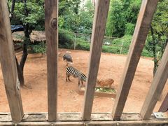 -昆明动物园