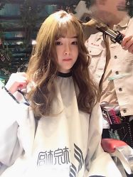 点击看大图 -金棕榈