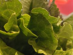 -揽月斋炙子烤肉·清真(安定门·五道营店)