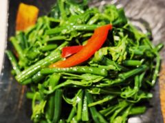 -番茄犟汤锅(东坝店)