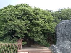-青檀寺景区
