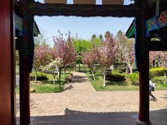 -黑龙潭公园