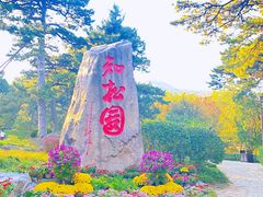 -香山公园