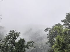 -华夏良子·足道SPA艾灸(龙潭路店)