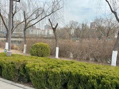 -南翠屏公园