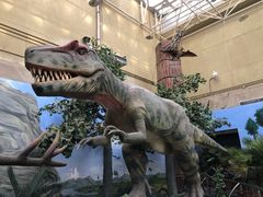 -国家自然博物馆