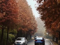 -南京市无想山景区