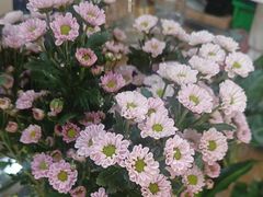 -花心思鲜花店(武昌徐东店)