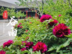 -居庸关长城