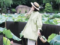 -陈家山荷花公园