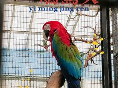 -北京野生动物园