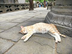 -四门塔风景区