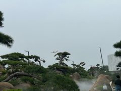 -罗红摄影艺术馆