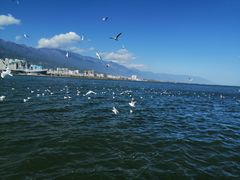 -大理洱海