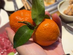 -扬之阿李菌汤火锅(1969店)
