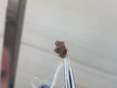 -芭比堂动物医院·心脏专科·夜诊·吉雅分院
