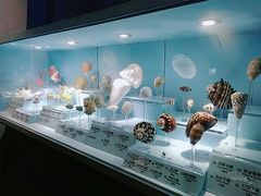-温州博物馆