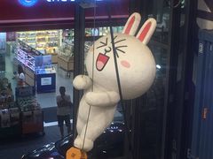 -line friends(明洞旗舰店)